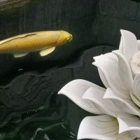 教师头像