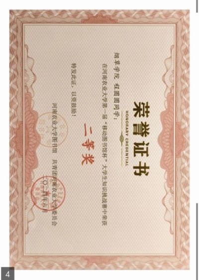 2024年移动图书馆杯校二等奖