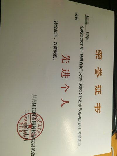 先进个人，共青团委员会审批，11月份