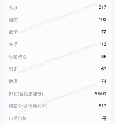 高考成绩